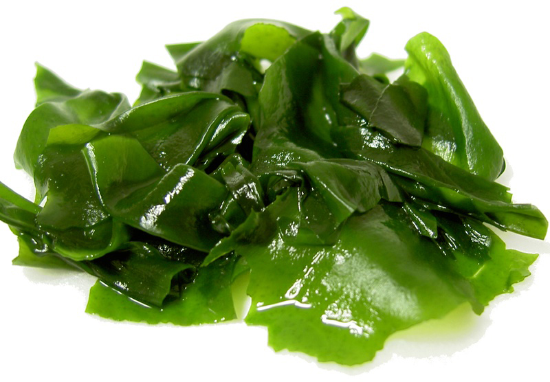 Alga Wakame Wakame Seaweed Stock Photo - Download Image Now - Asia