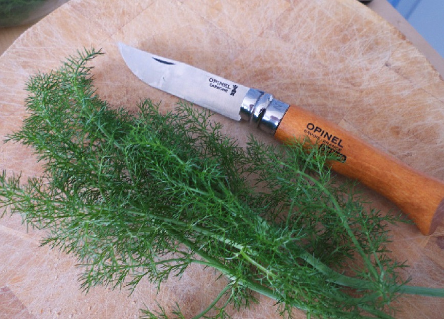 Blue Plate Special: Wild Fennel